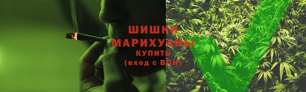 ГАЛЛЮЦИНОГЕННЫЕ ГРИБЫ Богданович