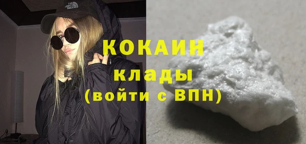 ГАЛЛЮЦИНОГЕННЫЕ ГРИБЫ Богданович