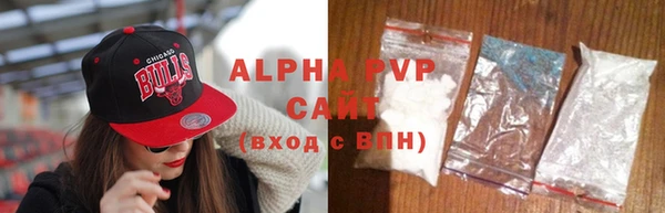 ГАЛЛЮЦИНОГЕННЫЕ ГРИБЫ Богданович