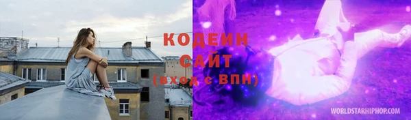 ГАЛЛЮЦИНОГЕННЫЕ ГРИБЫ Богданович