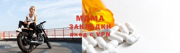 ГАЛЛЮЦИНОГЕННЫЕ ГРИБЫ Богданович