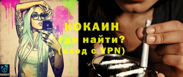 ГАЛЛЮЦИНОГЕННЫЕ ГРИБЫ Богданович