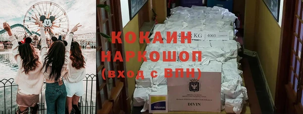 твердый Богородицк