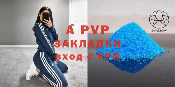 ГАЛЛЮЦИНОГЕННЫЕ ГРИБЫ Богданович