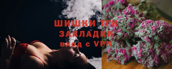 ГАЛЛЮЦИНОГЕННЫЕ ГРИБЫ Богданович