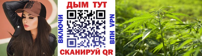 Купить  Галич  Шишки марихуана сатива 